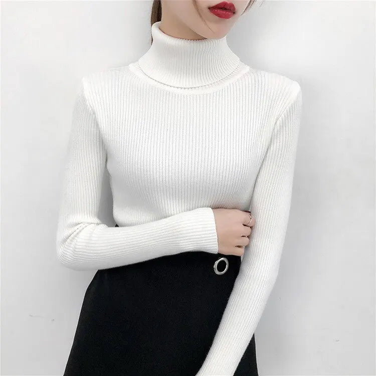 - Premium Ribbed Turtleneck Knit Sweater