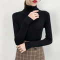 - Premium Ribbed Turtleneck Knit Sweater
