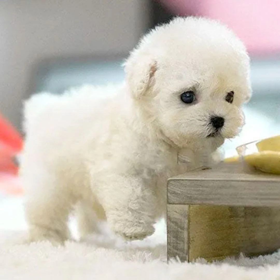 - Lifelike Robotic Puppy